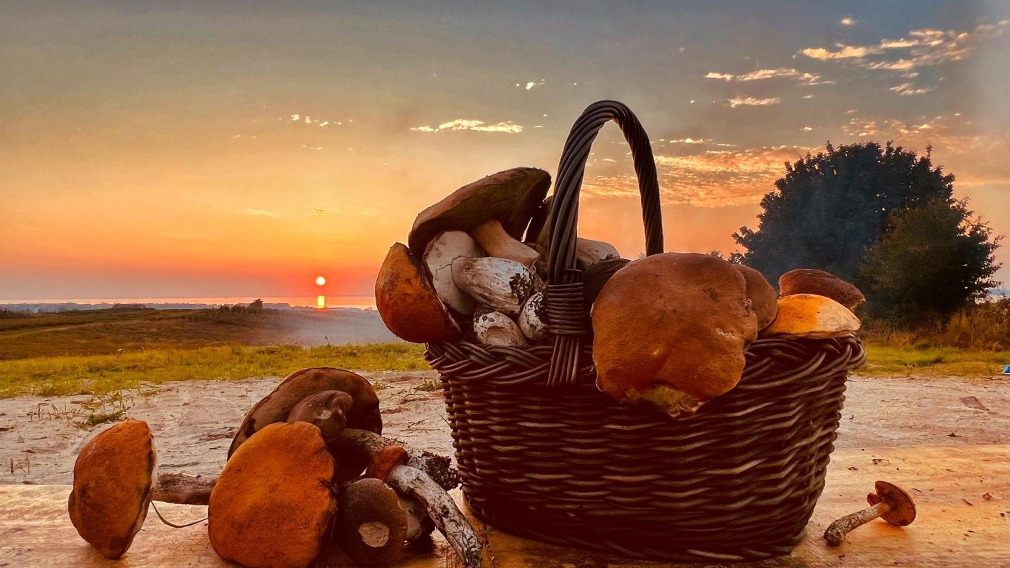 Osada Nad Zalewem Villa Tolkmicko Buitenkant foto